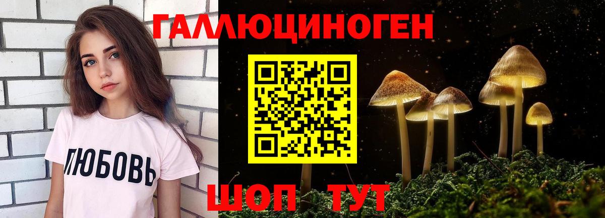 Санкт-Петербург  Псилоцибиновые грибы Magic Shrooms  Вход с VPN  Псилоцибиновые грибы Psilocybe 